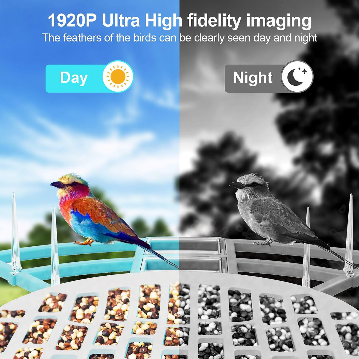Bird Feeder with Camera - AI Identify Bird Species,Live View,Instant Arrival Alerts,Capture Bird Video,32GB,IP65 Waterproof,Bird Camera,Solar Powered Bird House Cameras,Smart Bird Feeder with Camera lopevi