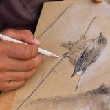 Professional White Charcoal Pencils Set - Brusarth 3 Pieces Sketch Highlight White Pencils for Drawing, Sketching, Shading, Blending, White Chalk Pencils for Beginners & Artists Brusarth