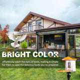 Smart Bird Feeder with Camera Solar Powered, AI Recognition,Auto-Record HD Bird Feeder Camera for Bird Watching TYSTDIRCT