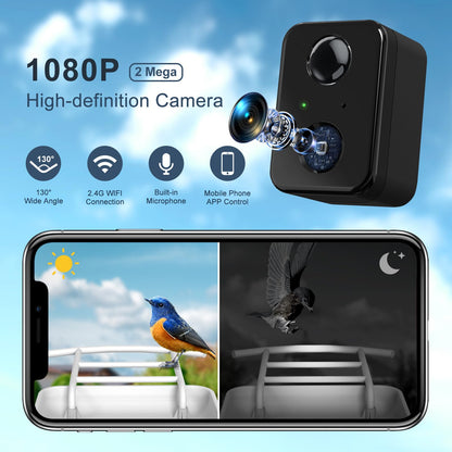 BROAIMX Smart Bird Feeder Camera, Free AI Forever, 1080P HD Camera Auto Capture Bird Videos & 2 Pcs Solar Panel, App Notify When Birds Detected, 64G - WoodArtSupply