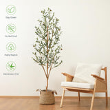 Kazeila Artificial Olive Tree 6FT Tall Faux Silk Plant for Home Office Decor Indoor Fake Potted Tree with Wood Branches and Fruits Kazeila