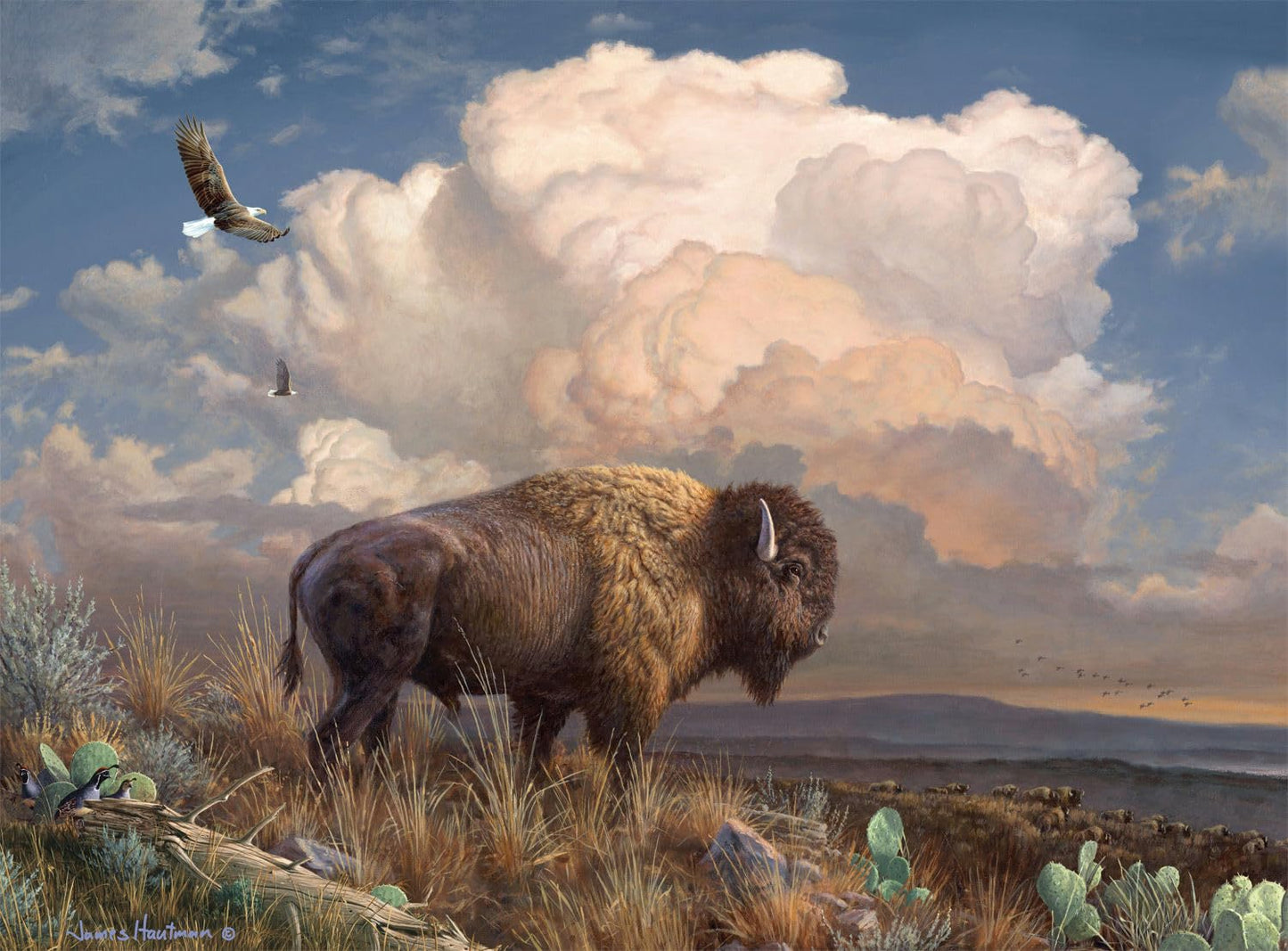 Buffalo Games - Hautman Brothers - Majestic Bison - 1000 Piece Jigsaw Puzzle for Adults -Challenging Puzzle Perfect for Game Nights - Finished Size is 26.75 x 19.75