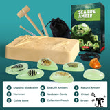 EDUMAN Amber Dig Kit-6 Artificial Sea Life Resin Specimens, Glow in The Dark Oceanlife Fossil Excavation Set, STEM Inspired Educational Toy for Kids Ages 6-12, for Boys & Girls EDUMAN