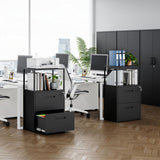 MIIIKO Office File Cabinet with 2 Drawers and Shelf, Metal Vertical Filing Cabinet with Lock, Lateral Two Drawers for Storage Letter/Legal Size File Folders, Top Shelf for Printer Stand MIIIKO