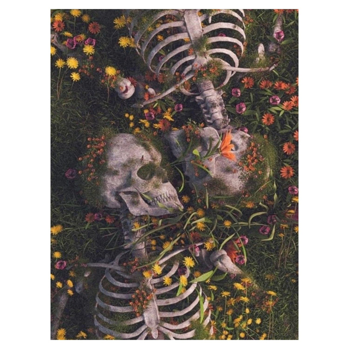 hkejoi Skull Diamond Art Kits for Adults,Skeleton Diamond Painting Kits,Skeleton Gem Art Kits Everlasting Love for Home Wall Decor 12x16 inch hkejoi