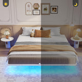 Hasuit King Size Floating Bed Frame with LED Lights - Metal Platform, Easy Assembly, No Box Spring Needed Hasuit