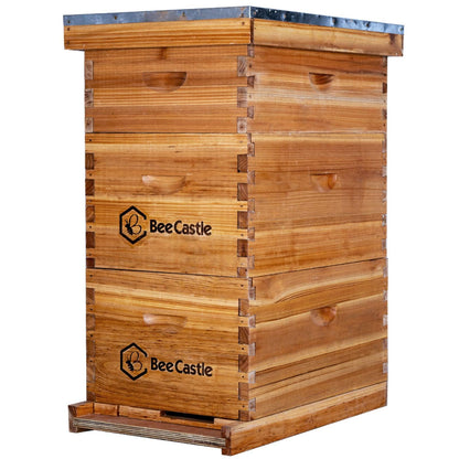 BeeCastle 8 Frame Langstroth Bee Hive Coated with 100% Beeswax Includes Beehive Frames and Waxed Foundations (2 Deep Boxes & 1 Medium Box) - WoodArtSupply