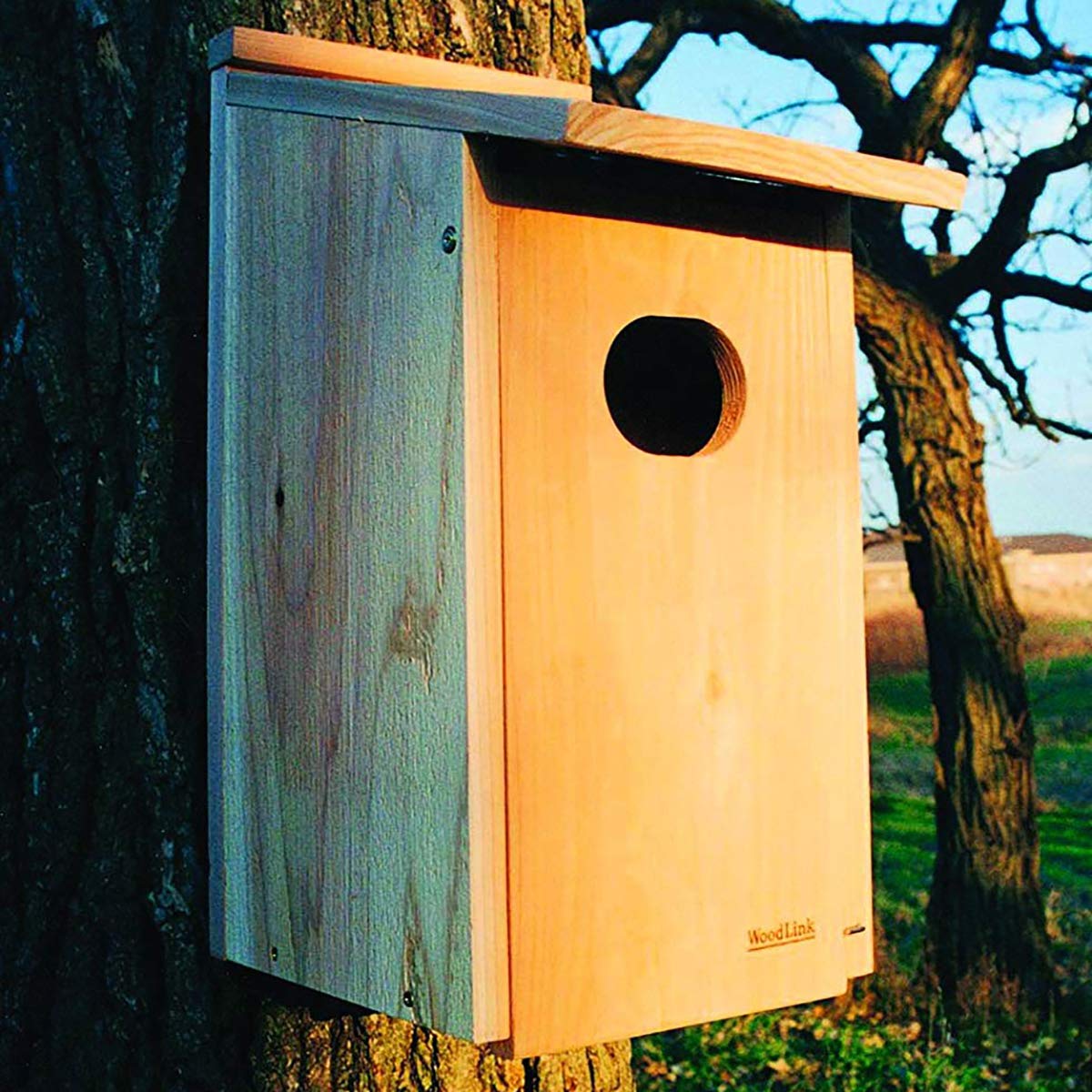Woodlink WD1 Wood Duck Hanging Nesting House Box with 4 x 3-Inch Oval Entrance Hole for Marshlands (2 Pack) Woodlink