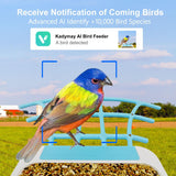 64GB Bird Feeder with Camera, 2K 3MP HD Camera Bird Feeder, AI Identify +10,000 Bird Species, Solar Powered Face Sun, Live Video & Playback on Phone & Tablet, Smart Wild Bird Watching Gifts Kadymay