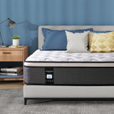 14 Inch Full Mattress, Memory Foam Hybrid Mattress, Motion Isolation Pocket Spring Mattress in a Box, Medium Firm for Pressure Relief, Breathable Pillow Top, CertiPUR-US Certified Marine Moon