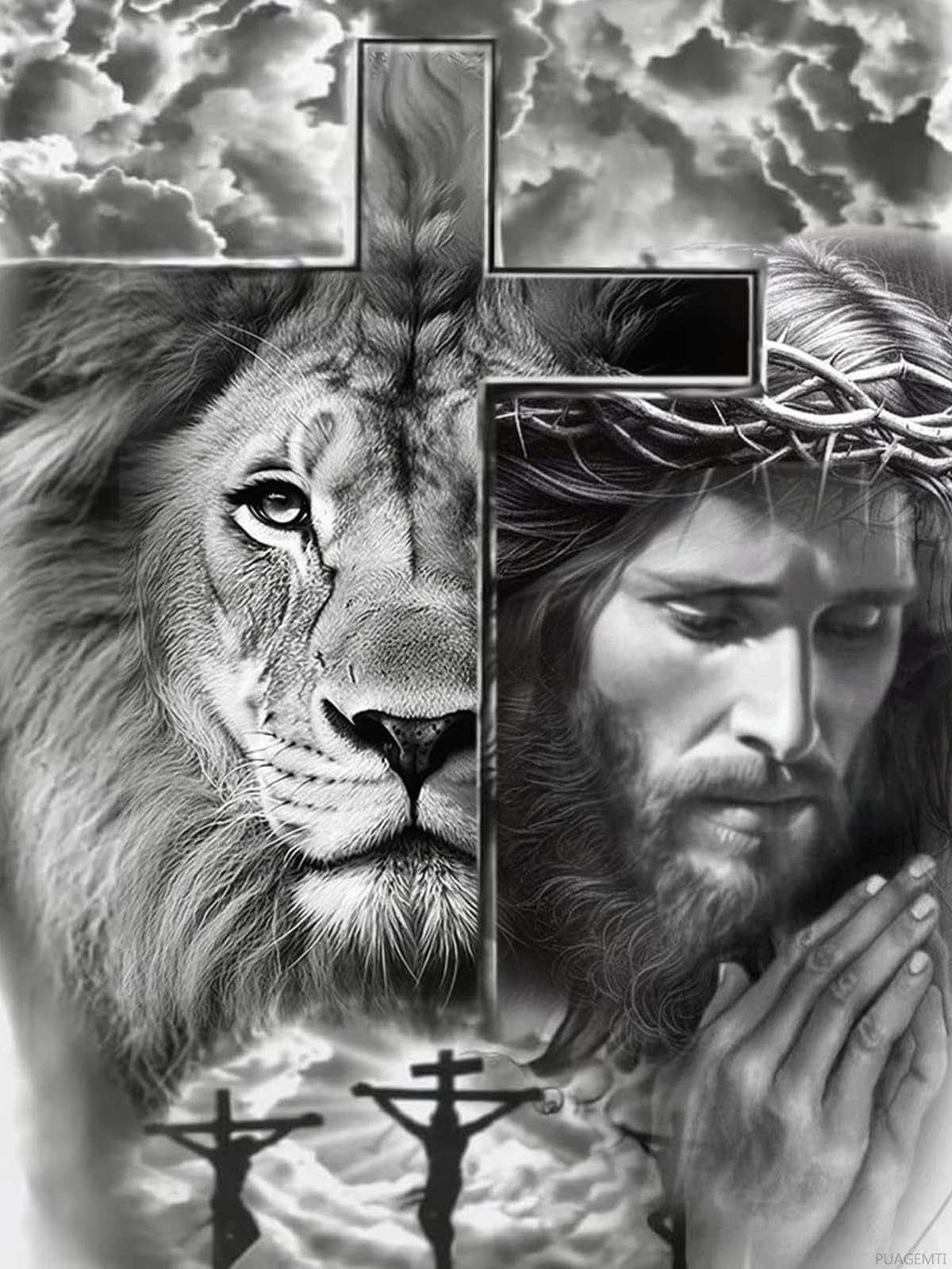 PUAGEMTI Jesus and Lion Jesus Christ Jesus Lion Jesus Christian Jesus Religious 5D Adult Diamond Art,DIY Diamond Art Painting Kits for Decor Canvas 30x40cm PUAGEMTI