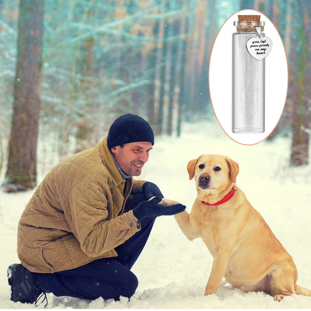 Nuenen 2 Pcs Pet Hair Glass Memorial Bottle Dog Keepsake Memorial Pet Loss Memory Sympathy Gift Vials for Hair with Heart Shape Ornaments White Organza Bags Cat Keepsake Glass for Ashes Fur Urn Nuenen