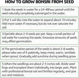 Meekear 5 Bonsai Tree Kit Complete Plant Growing Tools, Grow in Pot Indoor Bonsai Tree Starter Kit, Great Home Gardening Potted Plants DIY Gift for Adults Meekear