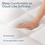 Cloud-Like Twin Mattress Topper - 100% Cotton Top Mattress Pad for Back Pain Relief - Breathable & Naturally Cooling for Hot Sleepers Niagara Sleep Solution