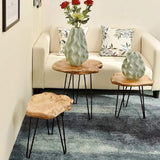 NXN-HOME Natural Edge Side Table, Live Edge End Table with 3 Hairpin Legs, Nightstand Plant Stand for Bedroom and Living Room(15.5" L x 14.5" W x 16" T.) NXN-HOME