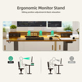 Claiks Electric Standing Desk with Shelf, 48 Inch Height Adjustable Standing Desk with LED Lights & Monitor Stand, Black Frame/Rustic Brown Top Claiks