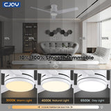 CJOY Ceiling Fan with Lights, 48 Inch Low Profile Ceiling Fans with Light and Remote, Reversible DC, Flush Mount, 3CCT，Dimmable, Modern Indoor/Outdoor Design for Bedroom, Living Room, Patio, Kitchen CJOY