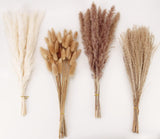 Dried Pampas Grass Decor, 100 Stems Pampas Grass Contains Bunny Tails Dried Flowers, Reed Grass Bouquet for Wedding Boho Flowers Home Table Decor, Rustic Farmhouse Party (17", White and Brown) ANPROOR