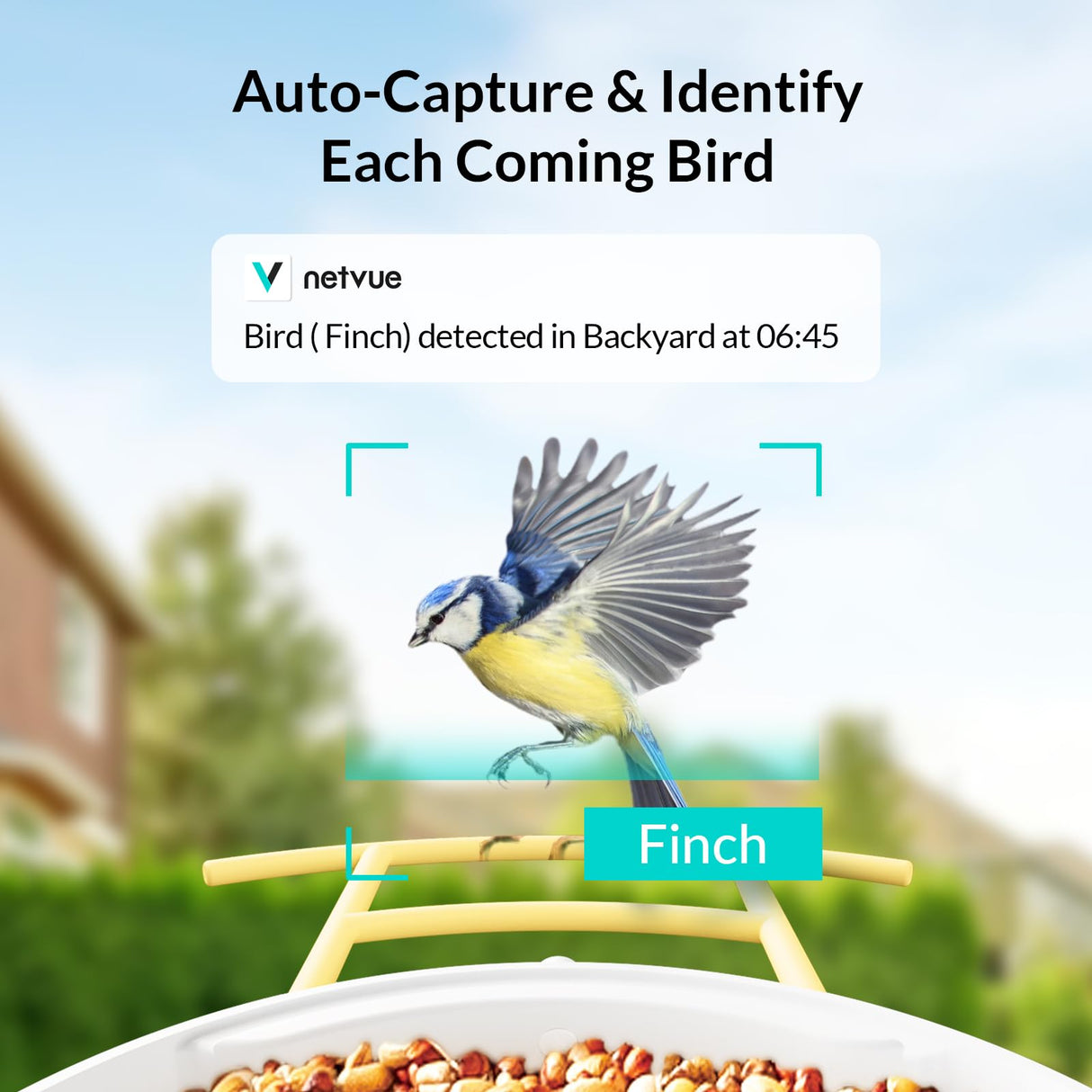 NETVUE Birdfy AI - Smart Bird Feeder with Camera with Solar Panel, Free AI Forever, Auto Capture & Identify 6000+ Bird Species, Bird Videos for NETVUE