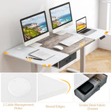 Giantex Electric Standing Desk, 55" x 28" Height Adjustable Desk with Memory Preset Controller, Storage Drawer, USB Charging Port, 2 Cable Holes, Stand Up Computer Desk for Home, Office, Gray Giantex