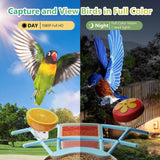 Vingtok Smart Bird Feeder with Camera, Outdoor Bird Watching Camera House with Solar Powered, Full HD AI Identify Camera DIY Wild Birdfy Feeder, Auto Capture Video & Real Time Views for Bird Lovers Vingtok