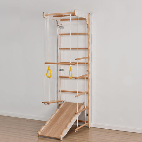 Hipicute Swedish Ladder Wall Gym,Swedish Ladder with Rope Ladder, Pull-up Bar, Monkey Bars, Gymnastic Rings for Kids and Adult Hipicute