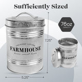 Amici Home Farmhouse Galvanized Canister | Dry Food Storage Container | Airtight Lid | 76 Oz Capacity | Farmhouse Décor | Rustic Metal Canister for Kitchen Countertop Amici Home