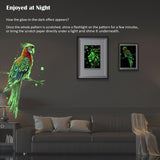 Scratchboard Art for Adult Luminous Scratch Painting Kits, A5 Scratch Art Rainbow Painting Paper 8 Sheet with 4 Tools, Scratchboard for Teens & Adults, Fun Creative Craft Toy/Gifts/Decor, Animals BulChign