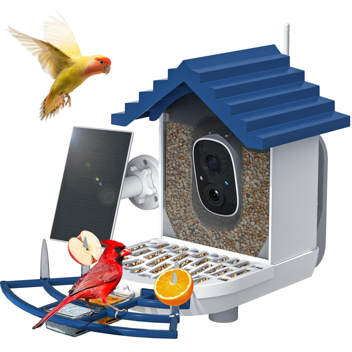 Smart Bird Feeder with Camera Solar Powered & AI Bird Identification, 2.4Ghz WiFi Camera Bird Feeder, 2K Hd Live Video Bird Feeder Camera, Nstant Arrival Alerts - Best Gifts for Bird Lovers NAVFS
