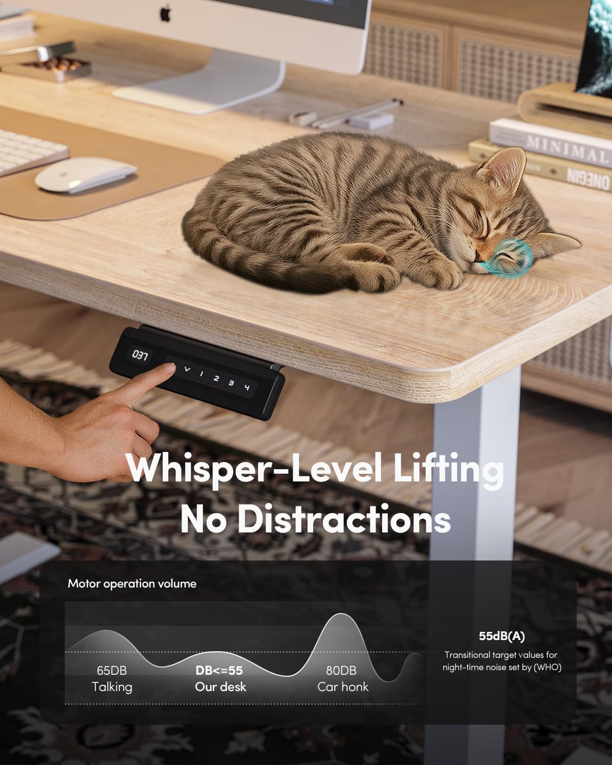 FEZIBO One-Piece Standing Desk Adjustable Height Stand up Home Office Desk, 48x24 Inch Electric Standing Computer Desk, with 4 Memory Presets, Headphone Hook, Maple FEZIBO