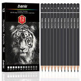 Sketch Pencils for Drawing, Set of 12 Drawing Pencils for Sketching Medium (6B - 4H), Artist Graphite Pencils, Sketch Set for Artists for Sketching Supplies, Art Supplies. Aenir