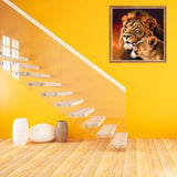 Bimkole 5D Diamond Painting Kits Lion Couple, Full Drill Beast DIY Rhinestone Embroidery Set Paint with Diamonds Art by Number Kits Cross Stitch Home Wall Craft Decoration (12x12inch) Bimkole