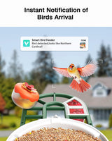 HARYMOR Bird Feeder with Camera Supports AI Identify Bird Species, 2K Live Video, Bird Arrival Alert, Solar Powered, Bird House Camera Wireless Outdoor with Mini Hummingbird Feeder for Watching Birds HARYMOR