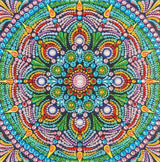 AiYuanzsh Special Shape Diamond Painting Set for Adults, Mandala 5D Partial Drilling Diamond Art Set for Beginners, Paint Gem Art Painting Crafts with Diamonds 30x30cm AiYuanzsh