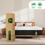 JEEKEA 12 inch Queen Mattress in a Box - 12 Inch Memory Foam Mattress Queen Size - Hybrid Matress for Back Pain Relief - Medium Firm with Motion Isolation & Strong Edge Support JEEKEA