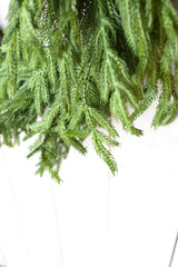 Afloral Real Touch Norfolk Pine Wreath - 24" Afloral