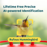 NETVUE Birdfy Hummingbird Feeder with Camera - 2K Dual Smart Cameras Solar Powered, Close-Up Bird Watching, Lifetime-Free AI Identify Hummingbird, Ant Moat & Instant Notifications (20 Ounces) NETVUE
