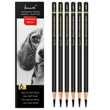Brusarth Professional Charcoal Pencils Drawing Set - 6 Pieces Soft Medium and Hard Charcoal Pencils for Drawing, Sketching, Shading Brusarth