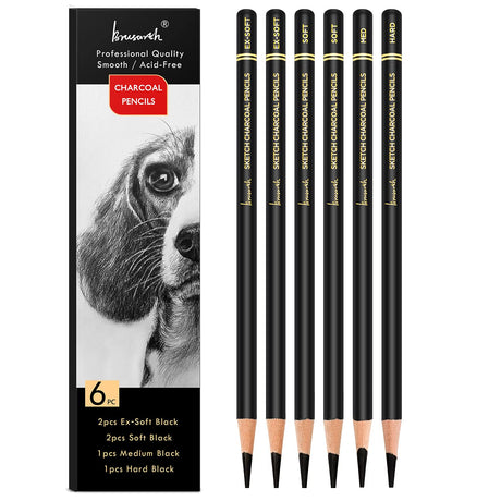 Brusarth Professional Charcoal Pencils Drawing Set - 6 Pieces Soft Medium and Hard Charcoal Pencils for Drawing, Sketching, Shading Brusarth