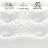 Vesgantti Queen Mattresses, 10 Inch Hybrid Queen Size Mattress in a Box, Pillow Top Queen Bed Mattress, Gel Memory Foam Pocket Coils Innerspring Mattresses, Pressure Relief, Medium Firm Plush Feel Vesgantti