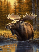 Generic Wildlife Moose in Forest Rustic Wild Animal Artwork Elk Deer Fall Funny Farmhouse （1） 5D Adult Diamond Art,DIY Diamond Art Painting Kits for Decor canvas 15.7x11.7inch/30x40cm, clear Generic