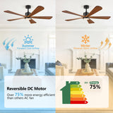 BOOSANT 5 Blade Ceiling Fans with Lights, 60 inch Outdoor Ceiling Fans with Remote Control for Patio Bedroom, Modern Ceiling Fan with Light, 5 Solid Wood Blades 6-Speed Reversible DC Motor(Walnut) BOOSANT