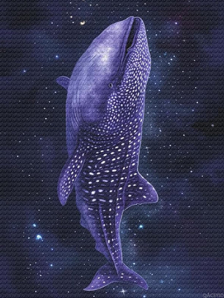 DIY 5D Diamond Painting Drawing Pictures by Number Kits Whale Shark Pattern Cross Stitch Crystal Rhinestone Embroidery Paintings Pictures Arts Craft for Home Wall Decor 12x16 in QACEYID