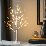 Vanthylit Lighted Birch Tree Battery Powered Tabletop Tree Decorations for Home Mantle Party Christmas Decorations (22 Inch) Vanthylit