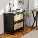 VINGLI Black Rattan 2 Drawer Lateral File Cabinet with Lock, Wood Locking File Cabinets for Home Office, File Cabinet Printer Stand for Hanging Letter/Legal Size Labeled Folders, Oak, 30W x 16D x 28H VINGLI