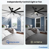 Modern 72 Inch Ceiling Fans with Lights and Remote, Dual Color 8 Blades, Bedroom Living Room Office Library Cafe Outdoor Industrial, 3CCT Dimmable, 6 Speed Reversible Quiet DC Motor, Black/Wood Grain Conciseer