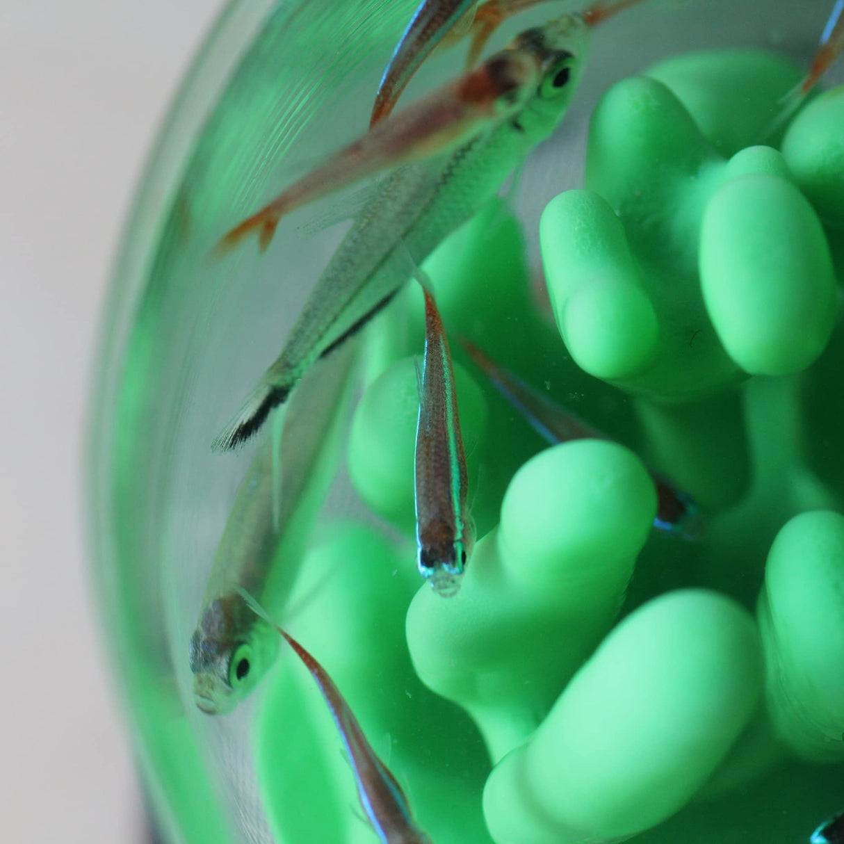 Polymaker PolySmooth PVB Filament 1.75mm 0.75kg Transparent - Print Like PLA Filament, Easy Smoothable Post Process with IPA Alcohol, Work with Polysher POLYMAKER