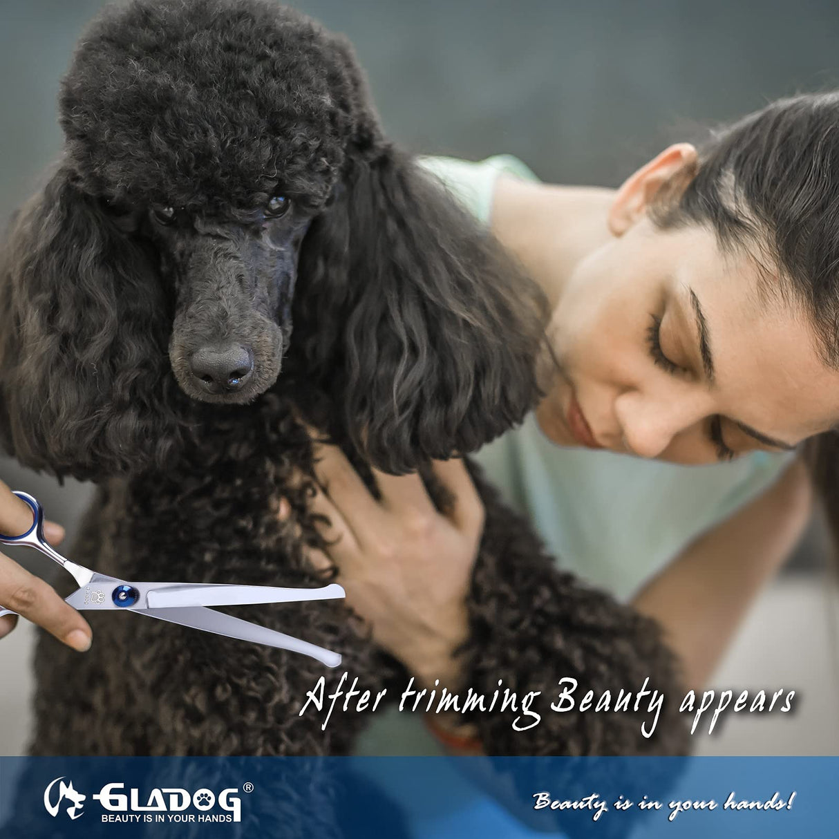 Dog Grooming Scissors Kit with Safety Round Tips, GLADOG Professional 6 in 1 Grooming Scissors for Dogs, Sharp and Heavy-duty Dog Grooming Shears for Dogs Cats Pets GLADOG