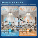 FINXIN Indoor Ceiling Fan Light Fixtures Remote LED 48 Brushed Nickel Ceiling Fans for Bedroom,Living Room,Dining Room Including Motor,Remote Switch (48" 4-Blades) FINXIN