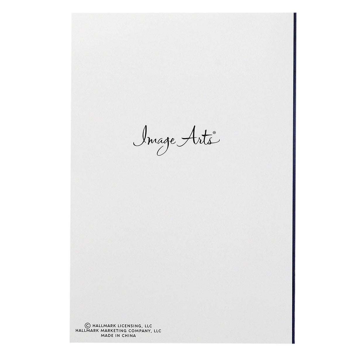 Hallmark Image Arts Religious Boxed Christmas Cards Assortment (4 Designs, 24 Christmas Cards with Envelopes) Hallmark